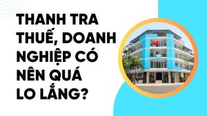 Thanh Tra Thuế, Doanh Nghiệp Có Nên Quá Lo Lắng