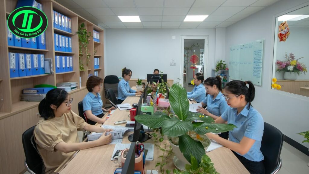 Hồ sơ năng lực