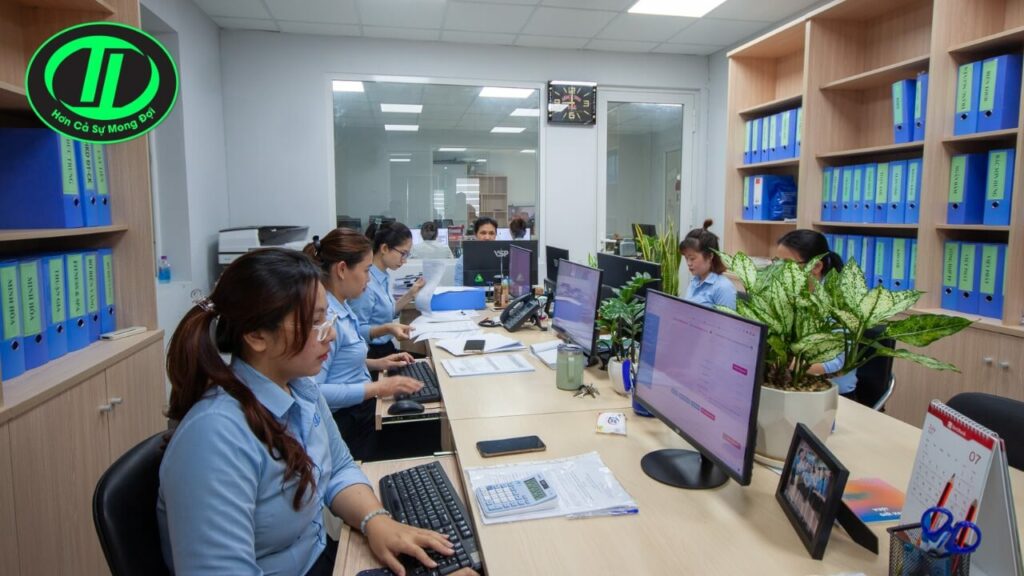kê khai thuế ban đầu