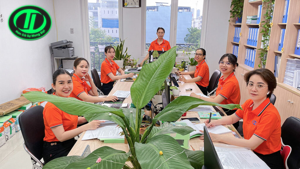 dịch vụ báo cáo tài chính