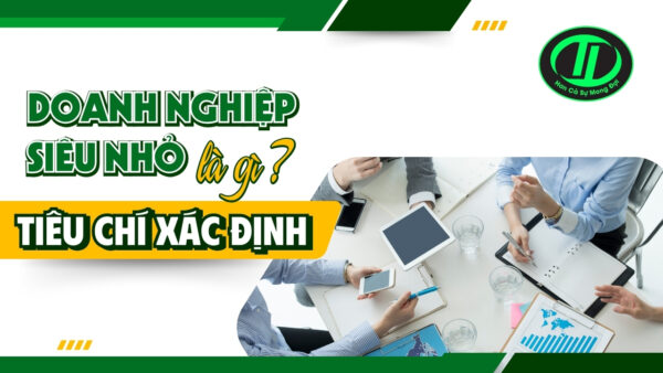 doanh nghiệp siêu nhỏ