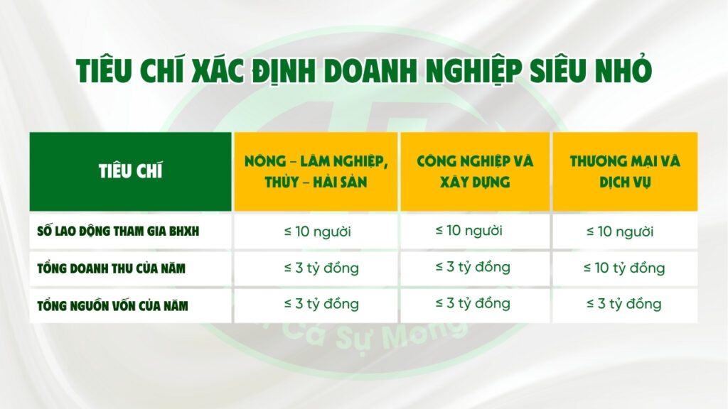 doanh nghiệp siêu nhỏ
