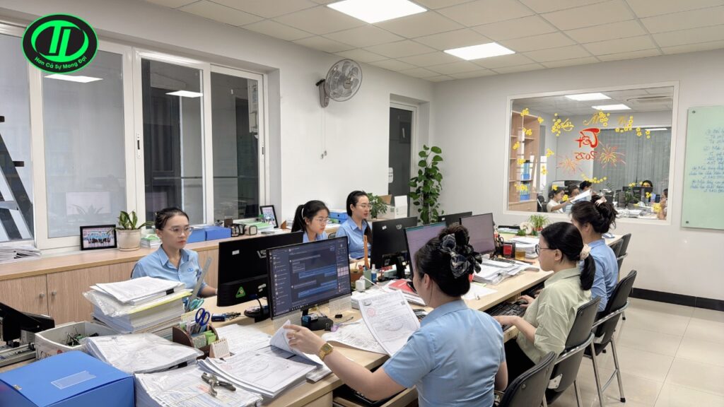 Đại lý thuế Khánh Hòa